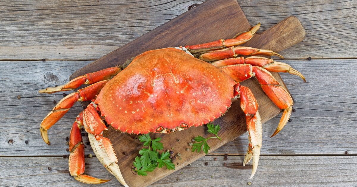 ما تفسير رؤية اكل السلطعون في المنام لابن سيرين؟