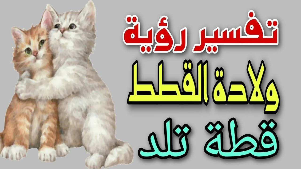 تأويلات ابن سيرين لرؤية القطة التي تلد في المنام
