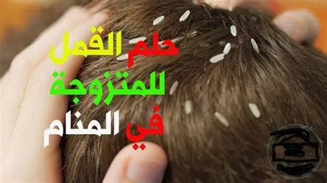 ما هو تفسير رؤية القمل الاشقر في المنام لابن سيرين؟