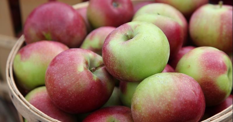 تعرف على تفسير رؤية اكل تفاح في المنام للعزباء لابن سيرين