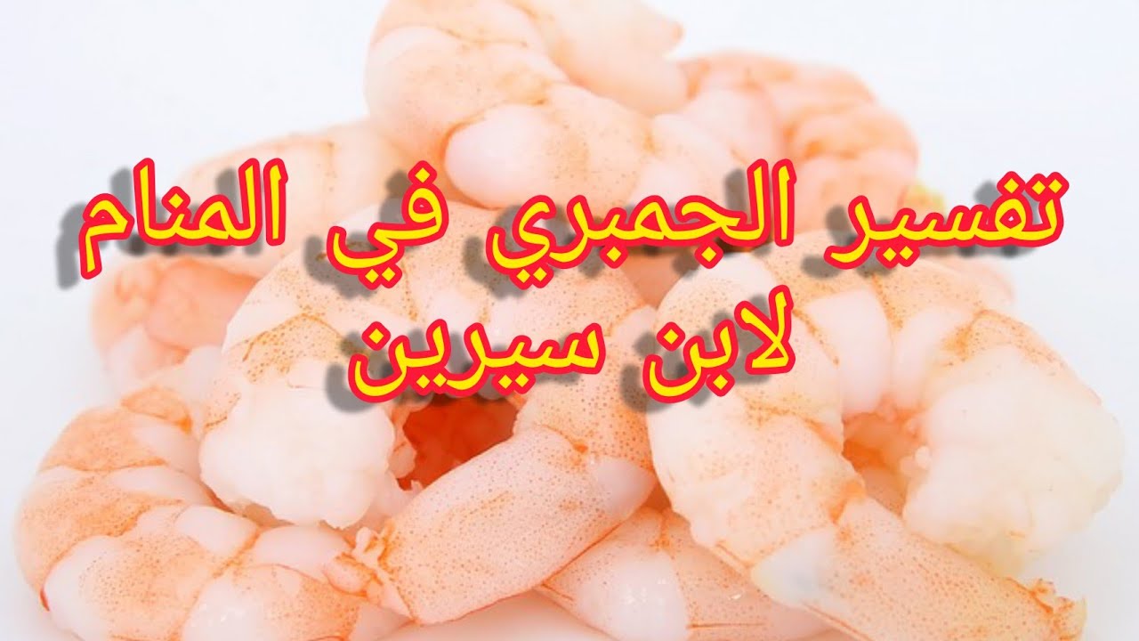 أهم تفسيرات رؤية الروبيان في المنام للعزباء لابن سيرين